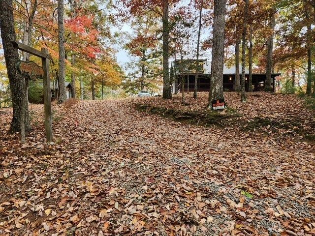 832 Scenic Mountain View Road, Blue Ridge, GA 30512