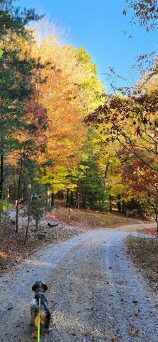 832 Scenic Mountain View Road, Blue Ridge, GA 30512