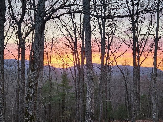 832 Scenic Mountain View Road, Blue Ridge, GA 30512