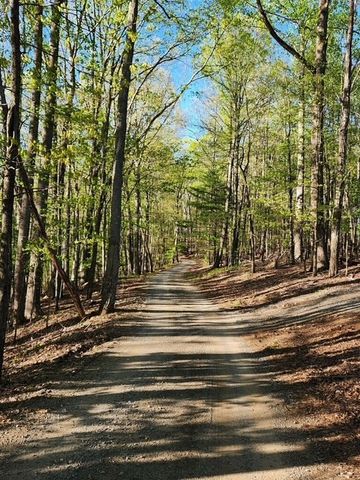 832 Scenic Mountain View Road, Blue Ridge, GA 30512