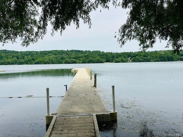 15 Roanoke Road, Patterson, NY 12563