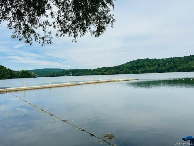 15 Roanoke Road, Patterson, NY 12563