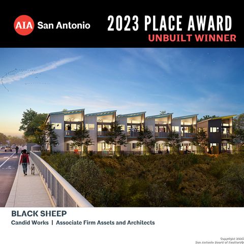 333 E Theo, San Antonio, TX 78214