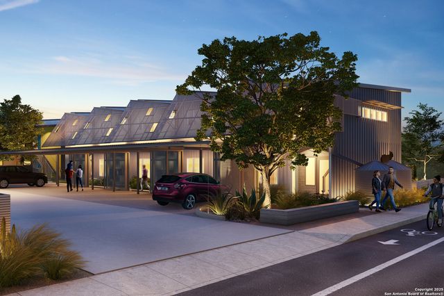 333 E Theo, San Antonio, TX 78214