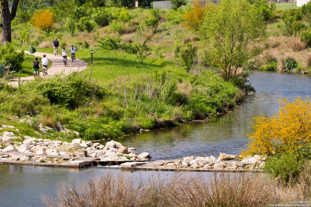 333 E Theo, San Antonio, TX 78214