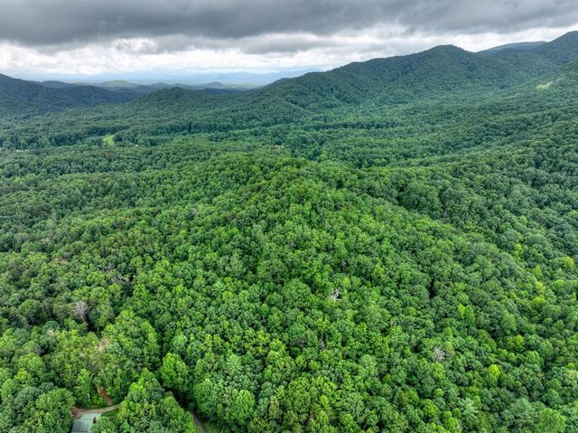 0 Blalock Road, Turtletown, TN 37391