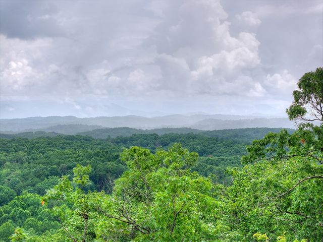 0 Blalock Road, Turtletown, TN 37391