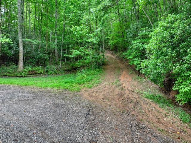 0 Blalock Road, Turtletown, TN 37391