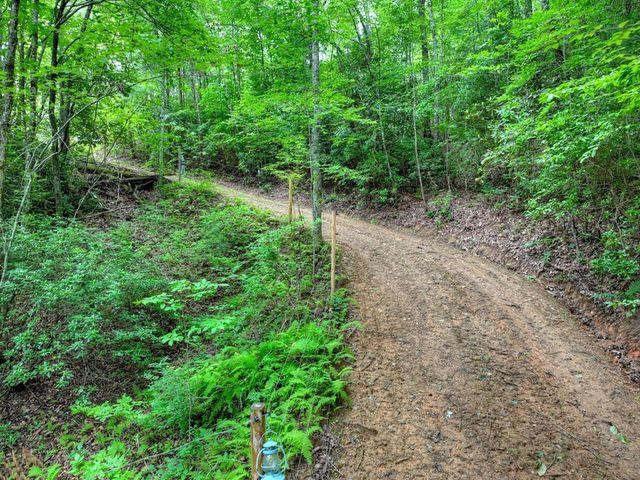 0 Blalock Road, Turtletown, TN 37391