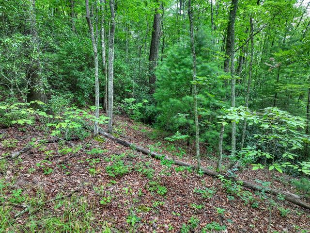 0 Blalock Road, Turtletown, TN 37391