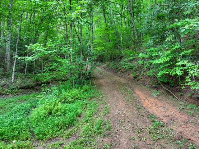 0 Blalock Road, Turtletown, TN 37391
