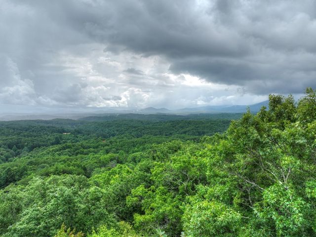 0 Blalock Road, Turtletown, TN 37391