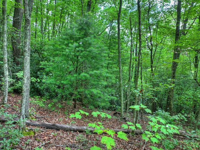 0 Blalock Road, Turtletown, TN 37391