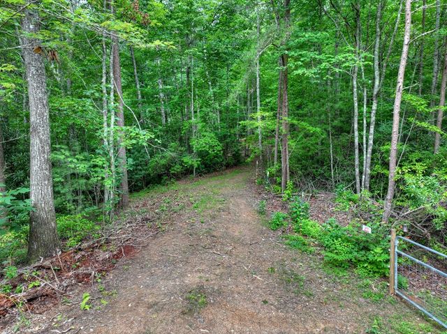 0 Blalock Road, Turtletown, TN 37391