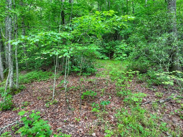 0 Blalock Road, Turtletown, TN 37391