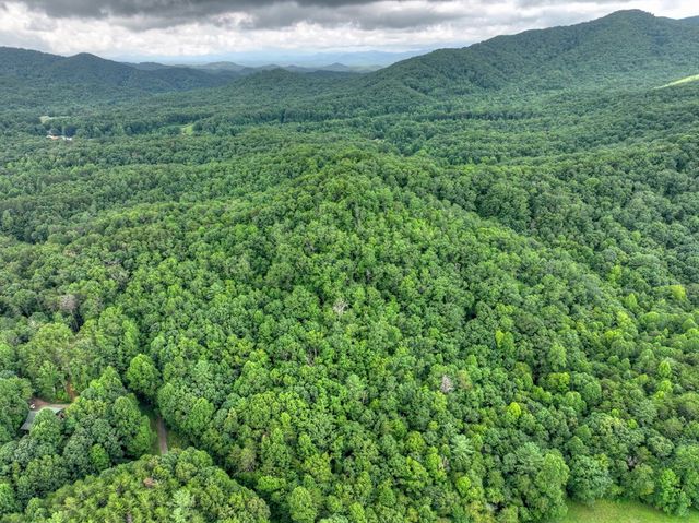0 Blalock Road, Turtletown, TN 37391