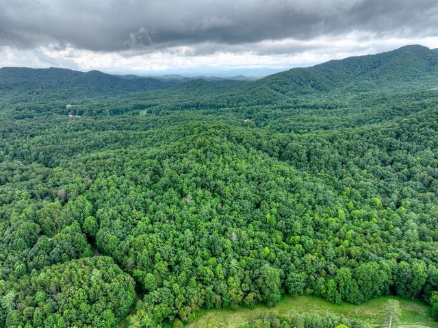 0 Blalock Road, Turtletown, TN 37391