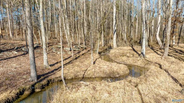 10033 County Road 121, Valley Head, AL 35989