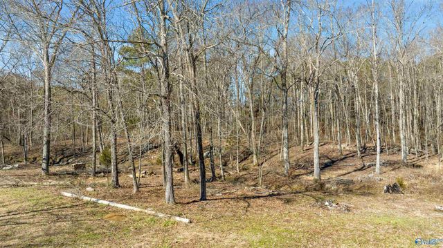 10033 County Road 121, Valley Head, AL 35989