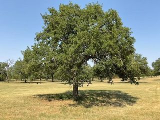 6532 Retta Oaks Drive, Burleson, TX 76028