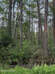 3 Thicketwood Drive, Carolina Shores, NC 28467
