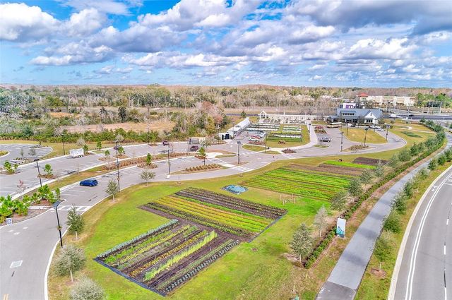 11130 CRESCENT DEER DRIVE, Land O Lakes, FL 34638