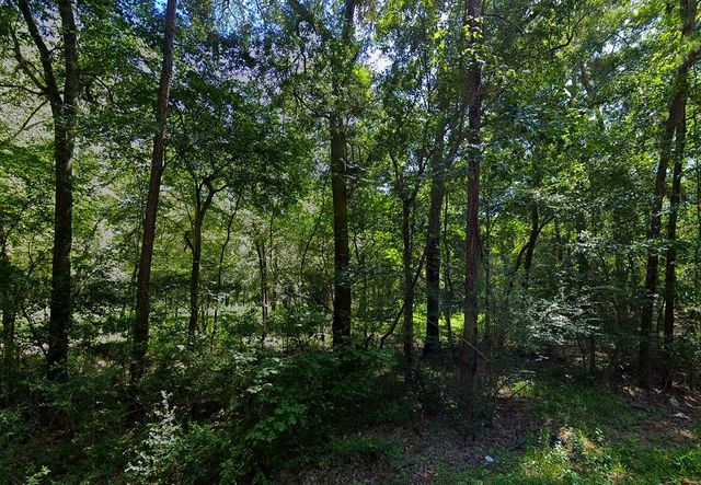 0 Pine Creek Road, Hockley, TX 77447