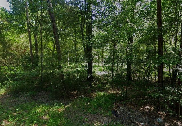 0 Pine Creek Road, Hockley, TX 77447