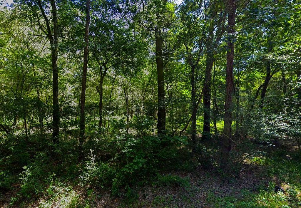 0 Pine Creek Road, Hockley, TX 77447