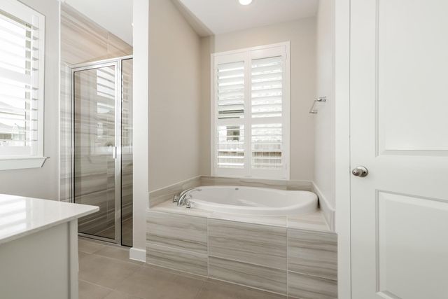 235 Aster View Court, Montgomery, TX 77316