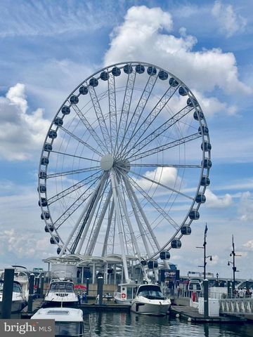 155 POTOMAC PSGE #806, National Harbor, MD 20745