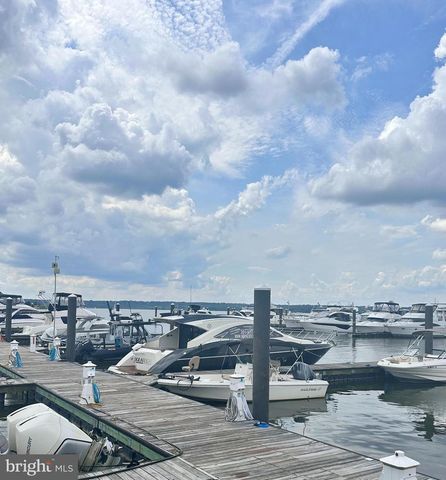 155 POTOMAC PSGE #806, National Harbor, MD 20745