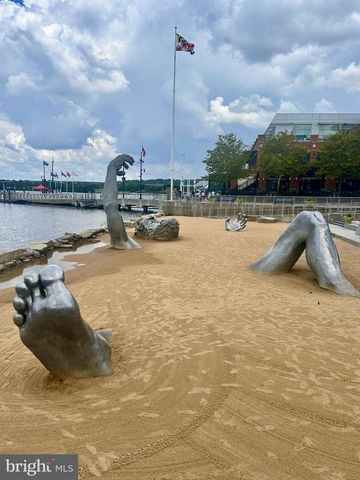 155 POTOMAC PSGE #806, National Harbor, MD 20745