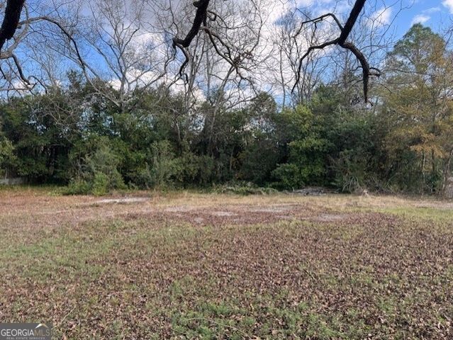 670 Poppy Avenue, Macon, GA 31204