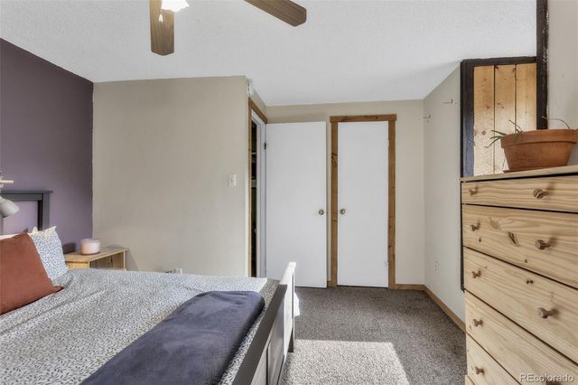 1450 Marion Street, Georgetown, CO 80444