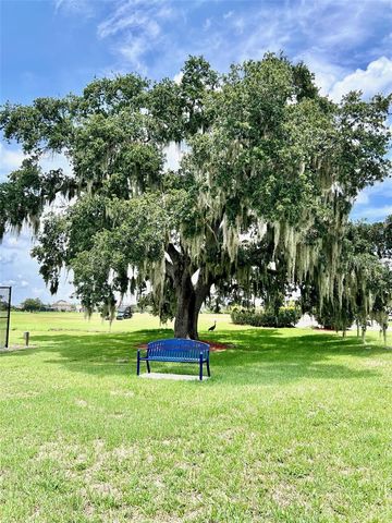 2300 THE OAKS BOULEVARD, Kissimmee, FL 34746