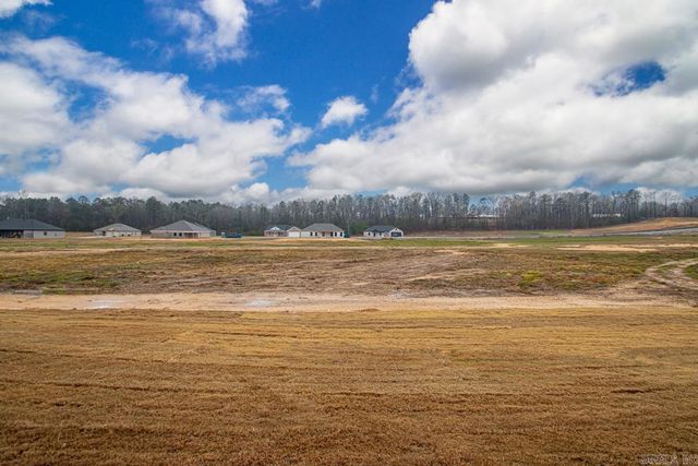 1033 Duke Drive, Bauxite, AR 72011