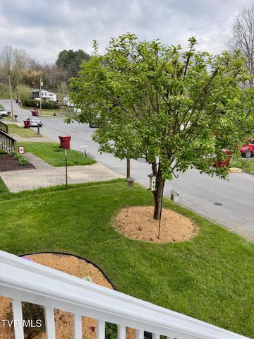 1714 Daytona Court, Johnson City, TN 37601