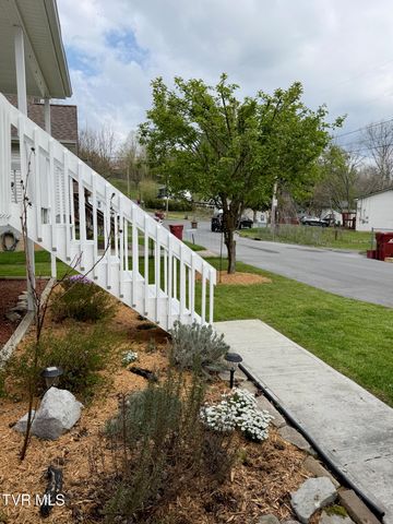1714 Daytona Court, Johnson City, TN 37601
