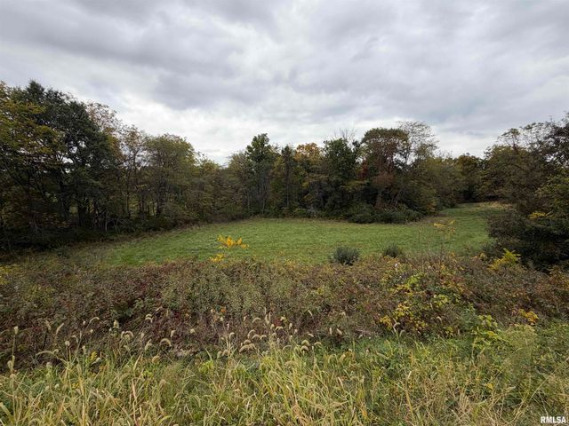 1196 160TH Street, Abingdon, IL 61410