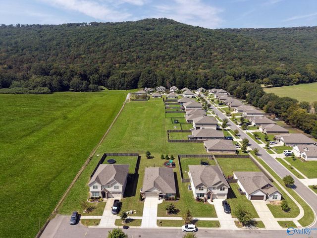 7304 Milas Way SE, Owens Cross Roads, AL 35763