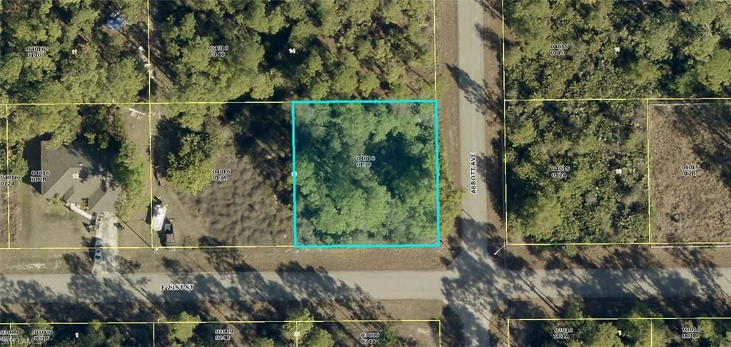 4307 E 21st ST, ALVA, FL 33920 — exterior