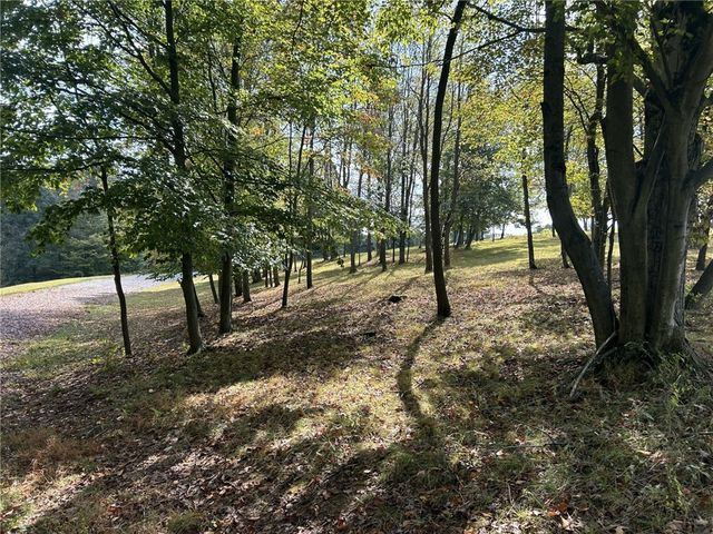 224 Morrow Rd, Chippewa Twp, PA 15010