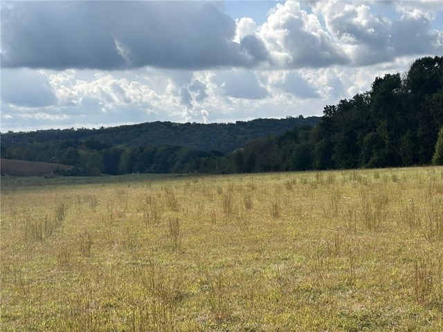 224 Morrow Rd, Chippewa Twp, PA 15010