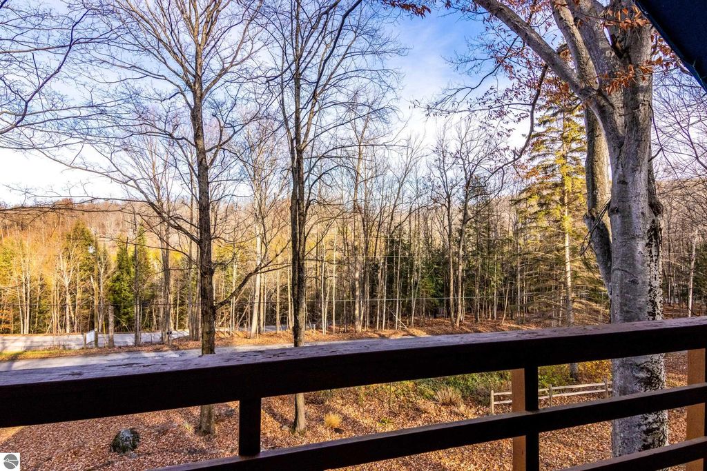 Image 13 of property listing at 4482 Schuss Mountain Road, Bellaire, MI 49615