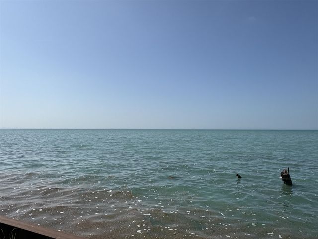 38172 Murdick Drive, New Baltimore, MI 48047