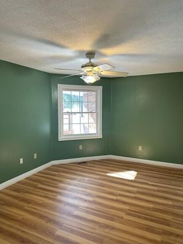 216 Deano Road, Branson, MO 65616