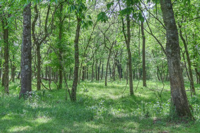 2153 Williamsport Pike, Columbia, TN 38401