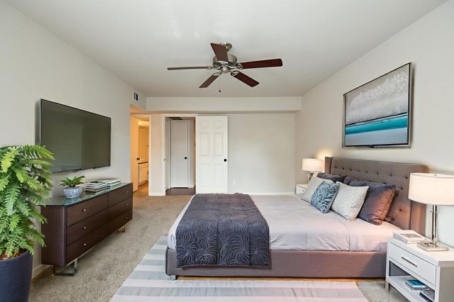 4641 Wild Indigo Street 450, Houston, TX 77027