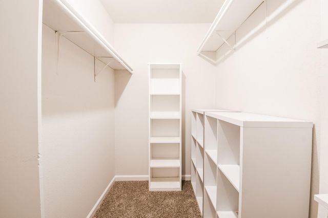 4641 Wild Indigo Street 450, Houston, TX 77027